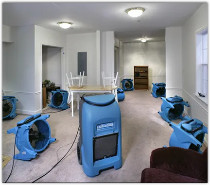 Water Mitigation Services in Senoia, GA
