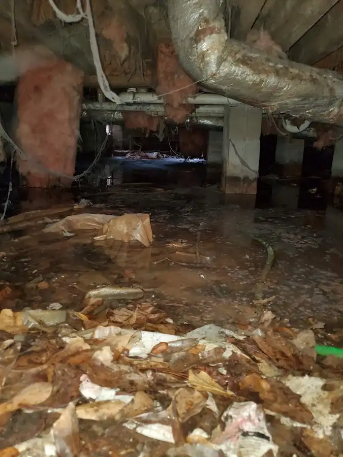 Crawl space flood assessment for Leak Detection & Repair in Senoia