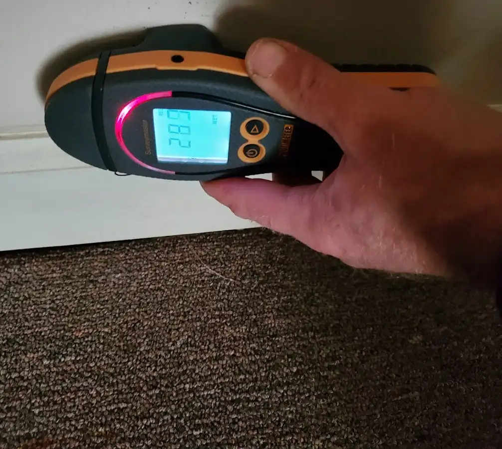 Moisture detection at baseboard during Mold Inspection & Testing in Senoia